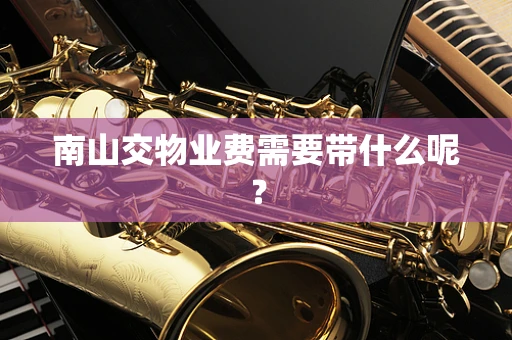 南山交物业费需要带什么呢？