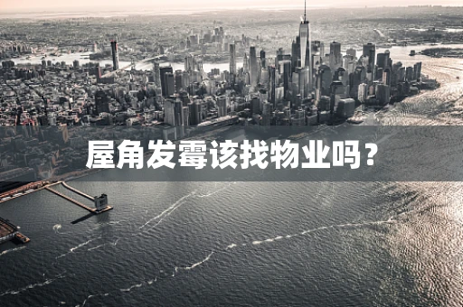 屋角发霉该找物业吗？