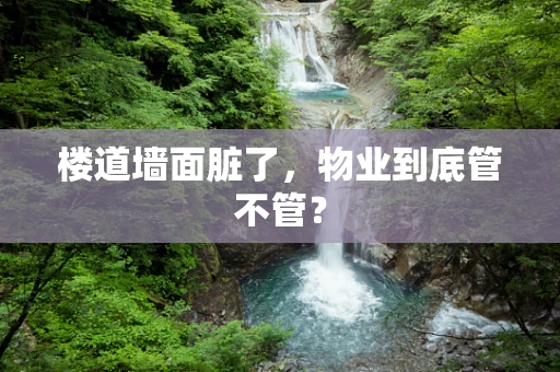 楼道墙面脏了，物业到底管不管？