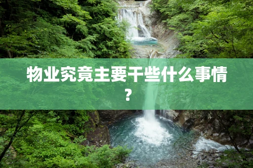 物业究竟主要干些什么事情？