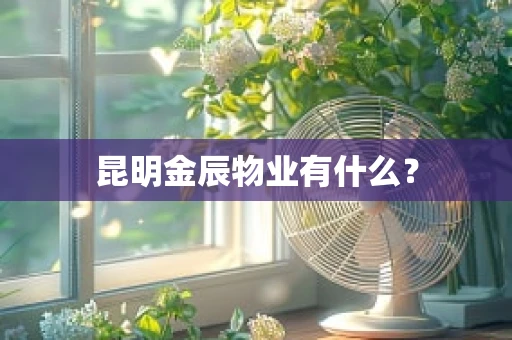 昆明金辰物业有什么？