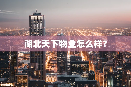 湖北天下物业怎么样？