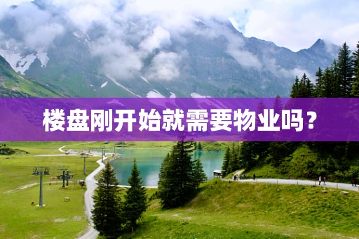 楼盘刚开始就需要物业吗？