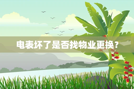 电表坏了是否找物业更换？