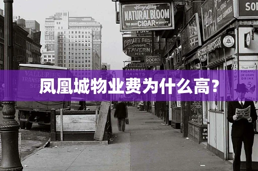 凤凰城物业费为什么高？