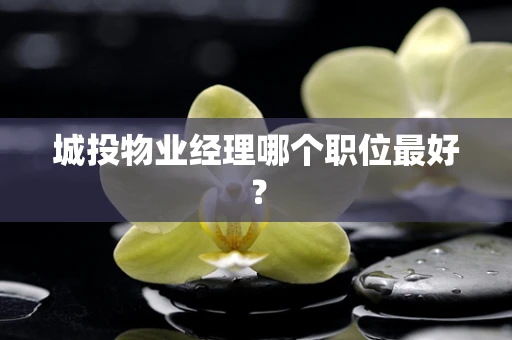 城投物业经理哪个职位最好？