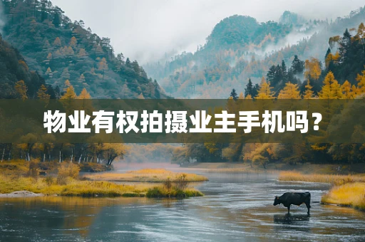 物业有权拍摄业主手机吗？