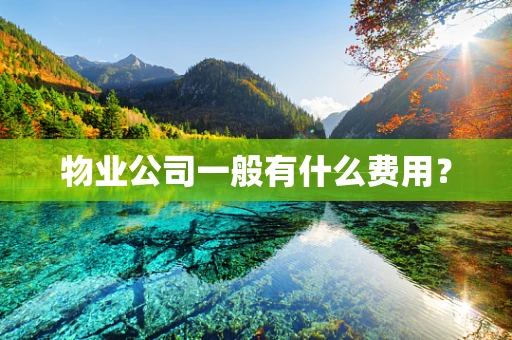 物业公司一般有什么费用？