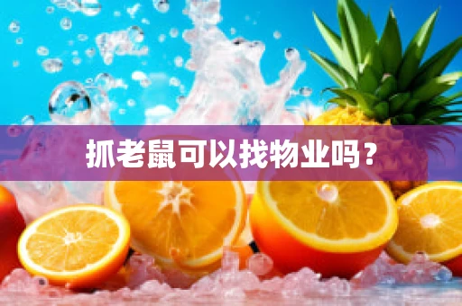 抓老鼠可以找物业吗？