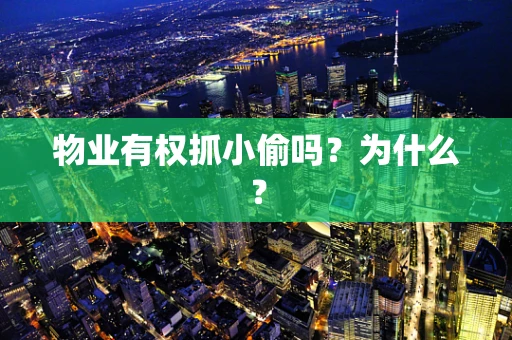 物业有权抓小偷吗？为什么？