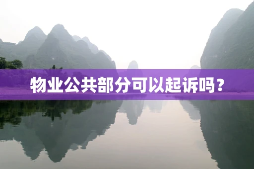物业公共部分可以起诉吗？
