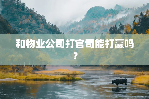 和物业公司打官司能打赢吗？