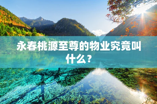 永春桃源至尊的物业究竟叫什么？
