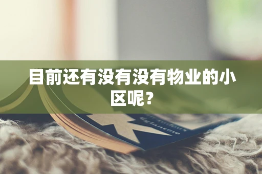 目前还有没有没有物业的小区呢？