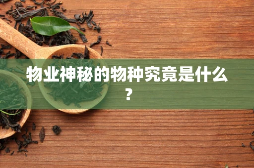 物业神秘的物种究竟是什么？
