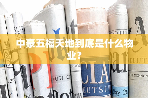 中豪五福天地到底是什么物业？