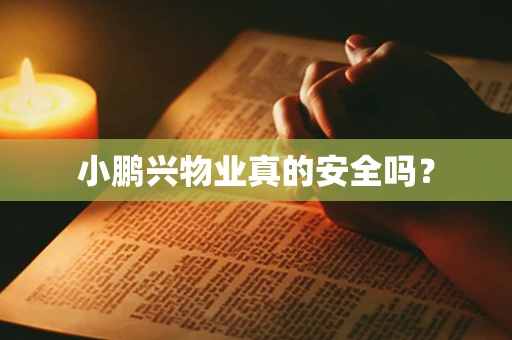 小鹏兴物业真的安全吗？