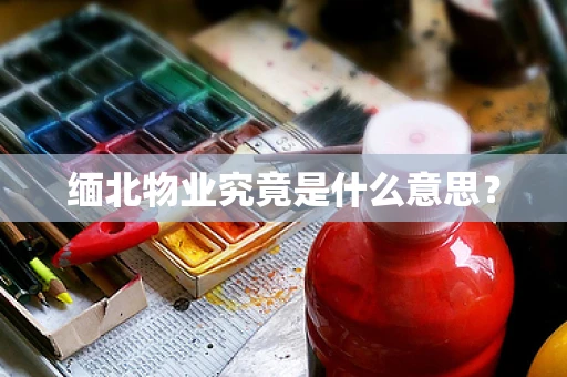 缅北物业究竟是什么意思？