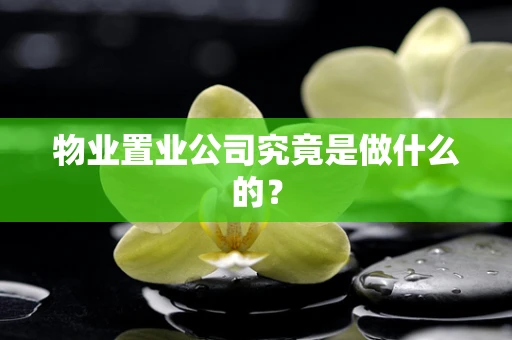 物业置业公司究竟是做什么的？