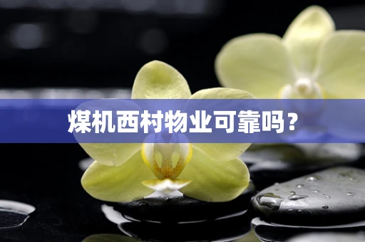 煤机西村物业可靠吗？