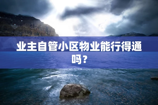 业主自管小区物业能行得通吗？