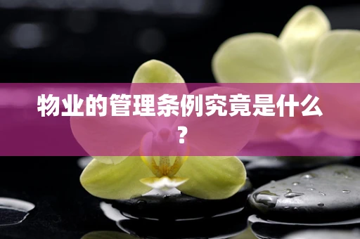 物业的管理条例究竟是什么？