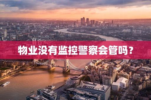 物业没有监控警察会管吗？