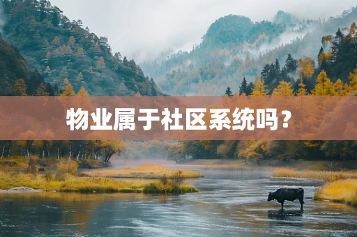 物业属于社区系统吗？