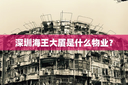 深圳海王大厦是什么物业？
