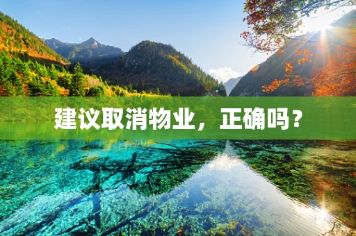 建议取消物业，正确吗？