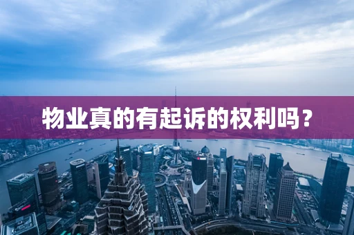 物业真的有起诉的权利吗？