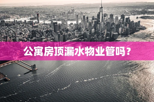 公寓房顶漏水物业管吗？