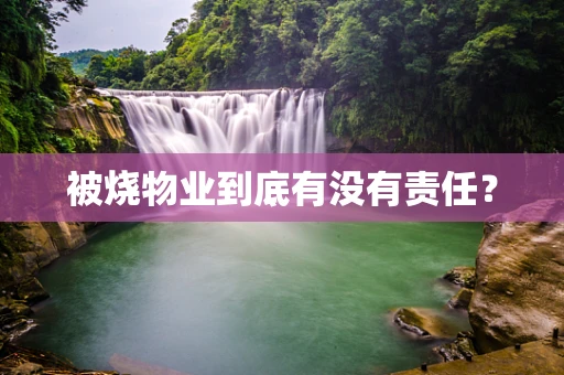 被烧物业到底有没有责任？