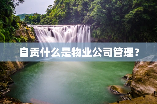自贡什么是物业公司管理？
