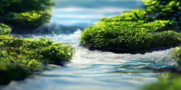 海富花园究竟是由什么物业公司管理呢？