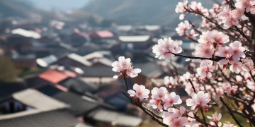 杏花村物业到底管不管事？