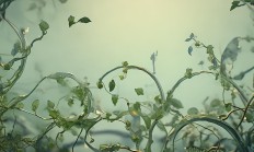 为什么取消不了物业公司？