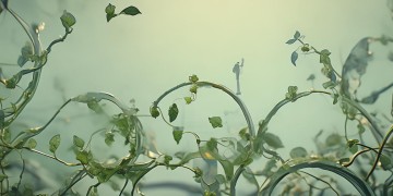 为什么取消不了物业公司？