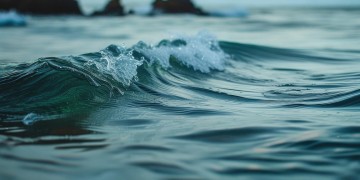 海立国际究竟是什么物业？