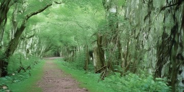乌鲁木齐社区管物业吗？
